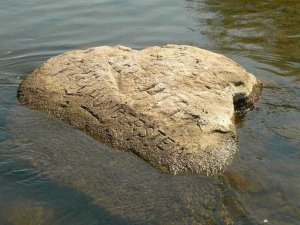 revistapazes.com - Seca na Europa faz rios revelarem pedras com gravuras preocupantes