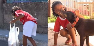 Menina de 7 anos cata latinhas para comprar ração para cães de rua