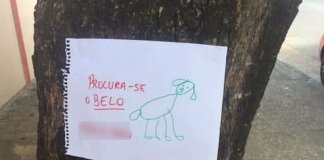 Depois de perder cachorro, menina de 4 anos faz cartazes com desenho à mão e o encontra