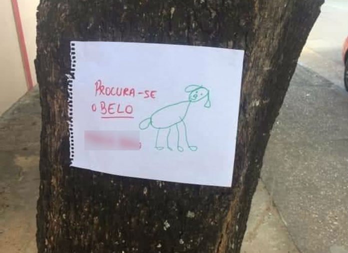 Depois de perder cachorro, menina de 4 anos faz cartazes com desenho à mão e o encontra