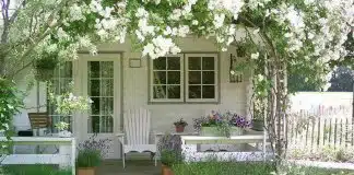 Da vida quero o que é simples, mas de boa qualidade