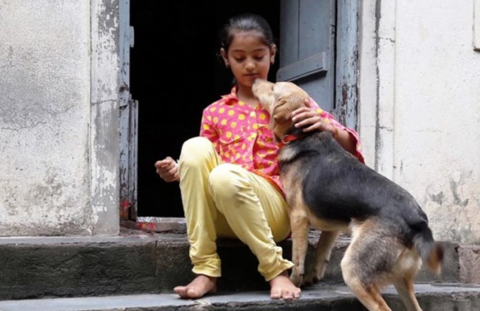 Índia institui ‘Compaixão pelos Animais’ como matéria escolar em milhares de colégios públicos e privados