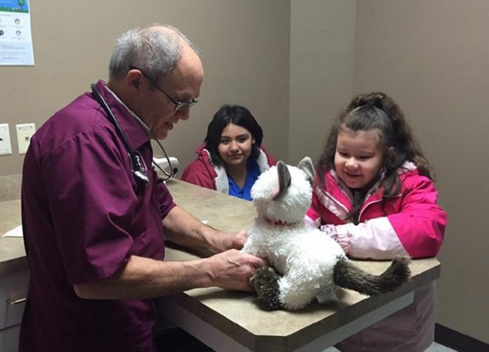 Veterinário atende gato de pelúcia “doente” de menina autista