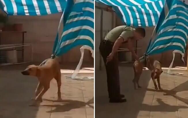 Policial chileno liberta cachorro aprisionado em toldo e ganha um surpreendente abraço do animal