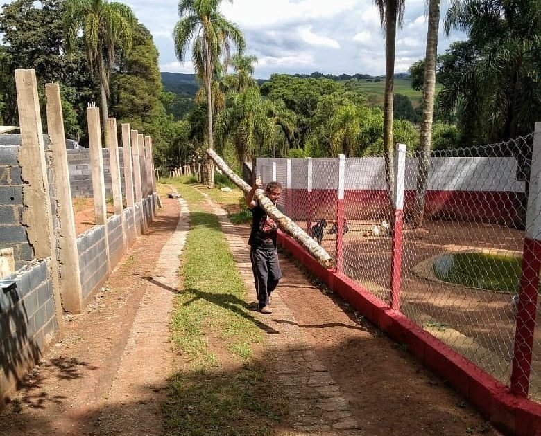 52063750-490664901464172-3783056367443923500-n