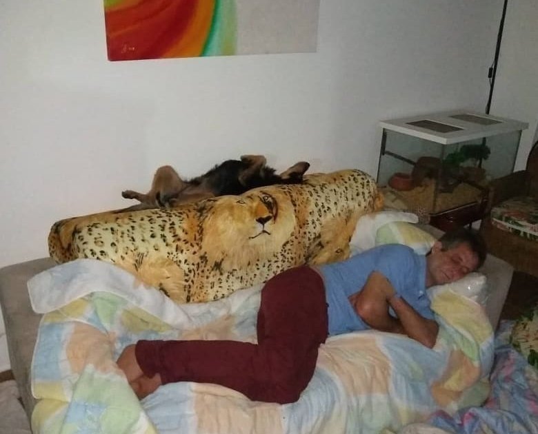 53315615-122952558808164-6550665302936398944-n