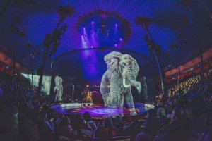 revistapazes.com - Circo alemão se recusa a maltratar animais. Eles criaram lindos hologramas para admirá-los