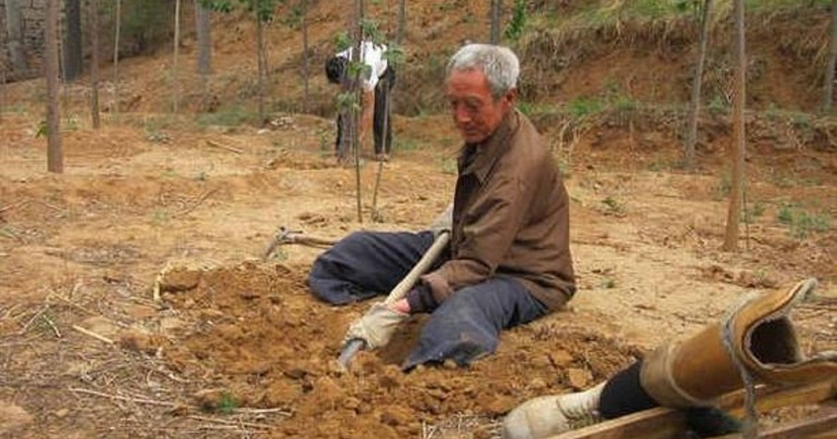 ma-sanxiao-planta-arvores-sem-pernas-china-08042019162652816