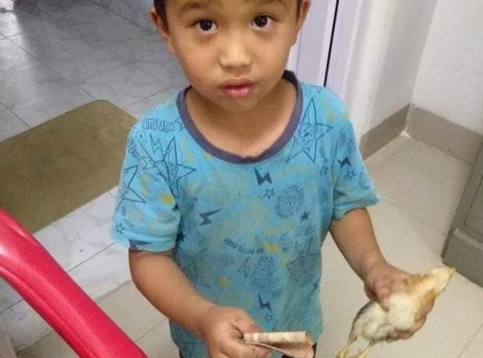 Menino de 6 anos viraliza na web: ele atropelou um pintinho e, aflito, leva-o ao hospital
