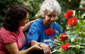 revistapazes.com - Praticar jardinagem pode te fazer feliz e ainda ajudar na depressão