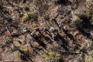 revistapazes.com - Jovens plantam 11.500 árvores para recuperar uma floresta queimada na Argentina