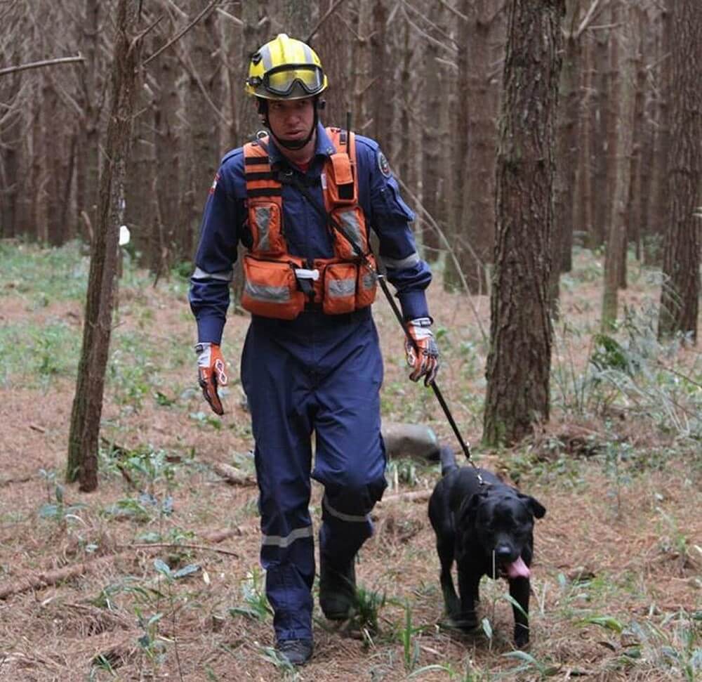 revistapazes.com - Perdemos um herói: cão que auxiliou nas buscas em Brumadinho é vítimado enquanto salvava vidas