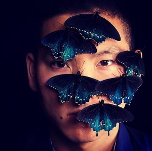 revistapazes.com - Este biólogo salvou uma espécie rara de borboletas da extinção
