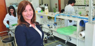 UFMG cria espuma que absorve agrotóxico da água e dos alimentos