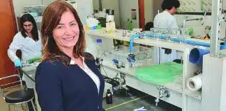 UFMG cria espuma que absorve agrotóxico da água e dos alimentos