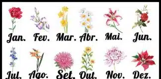 Escolha a flor do seu aniversário e revele quem você realmente é!