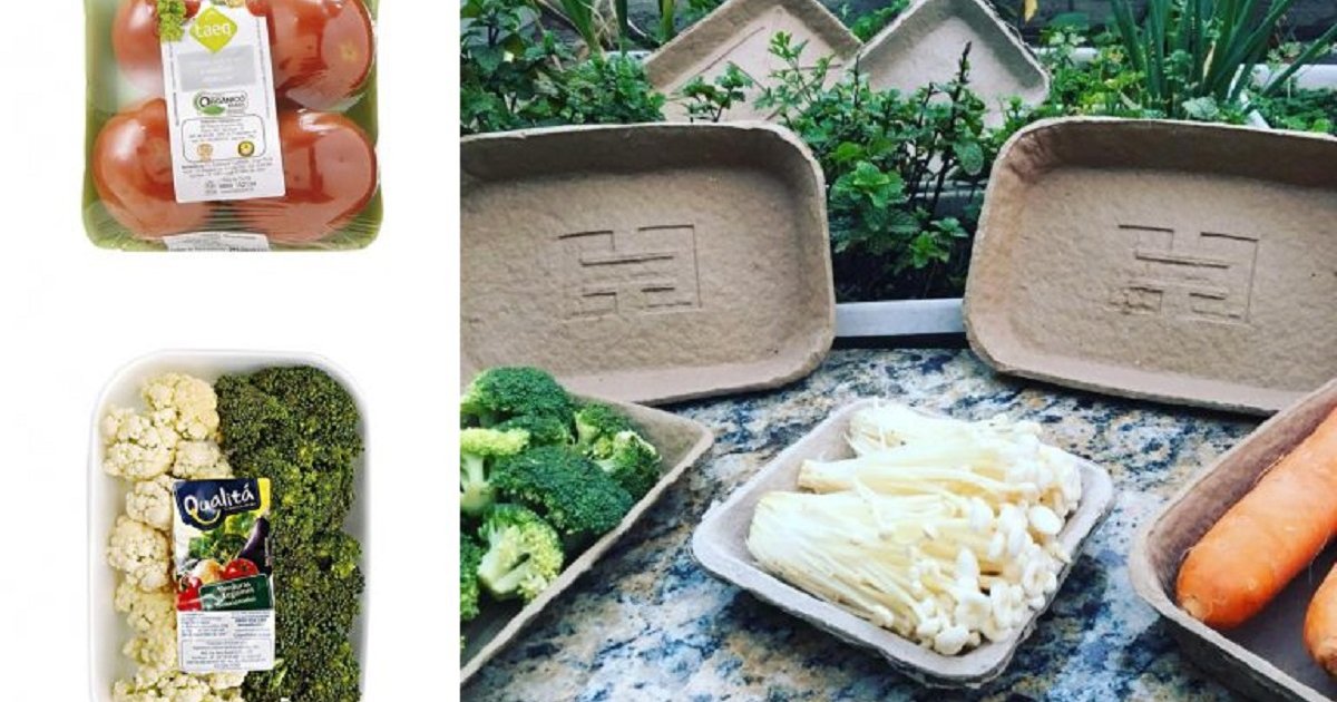 tamoios-embalagens-768×505