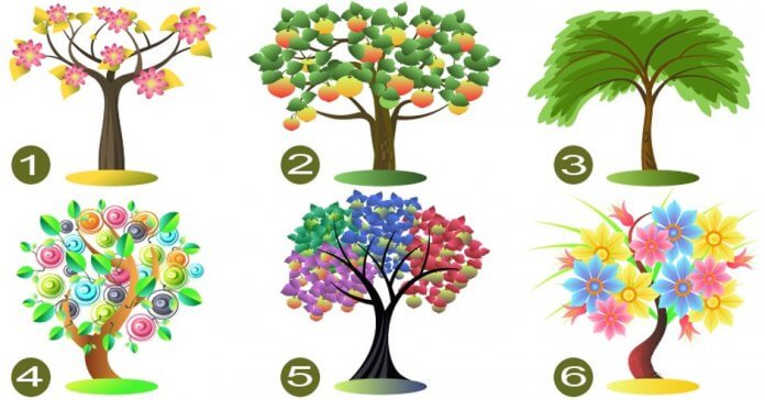 revistapazes.com - Escolha uma árvore e ela dirá os  traços dominantes da sua personalidade