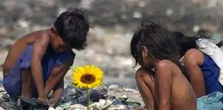 ‘Ilha das Flores’ foi  eleito o melhor curta brasileiro de todos os tempos