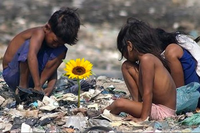 ‘Ilha das Flores’ foi  eleito o melhor curta brasileiro de todos os tempos