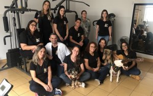 revistapazes.com - Menino com autismo volta a conversar após terapia com cães