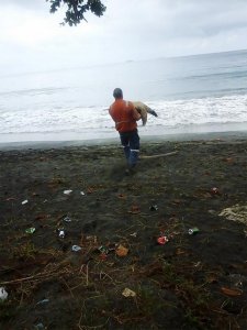 revistapazes.com - Homem compra tartarugas em mercado de carnes para devolvê-las ao mar