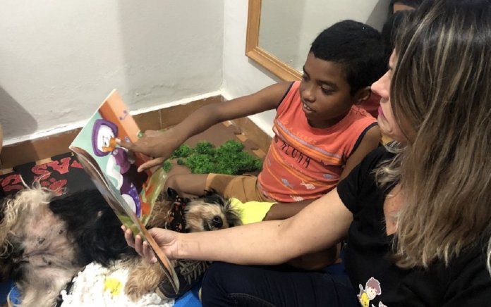 Menino com autismo volta a conversar após terapia com cães