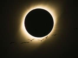 A mais bela foto do último eclipse solar foi tirada por um brasileiro: deslumbrante!