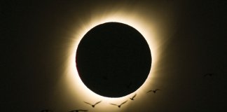 A mais bela foto do último eclipse solar foi tirada por um brasileiro: deslumbrante!