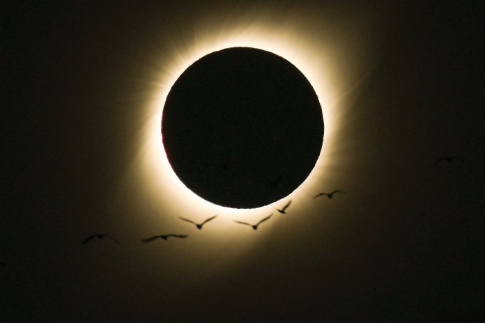 A mais bela foto do último eclipse solar foi tirada por um brasileiro: deslumbrante!