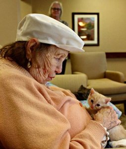 revistapazes.com - Nesta casa de repouso os idosos cuidam de gatos órfãos