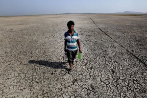revistapazes.com - A Índia está literalmente assando: 50º, água acabando, aldeias evacuadas e animais abatidos