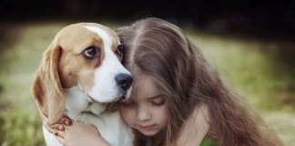 A empatia de um cão tem o poder de curar a sua alma