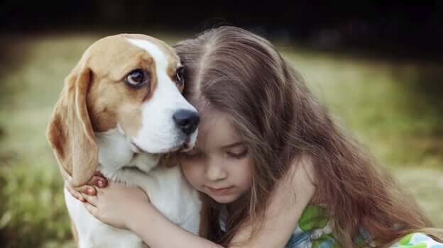 A empatia de um cão tem o poder de curar a sua alma