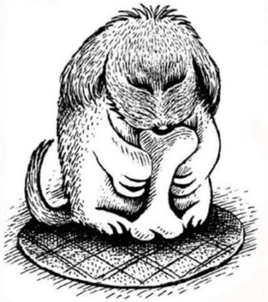 revistapazes.com - Apenas 1% das pessoas conseguem encontrar o cachorro escondido nessa imagem