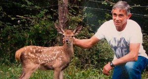 revistapazes.com - O cervo que convenceu o caçador a parar de matar animais