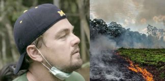 Amazônia:  Leonardo DiCaprio apela para que salvemos “o pulmão do mundo em chamas”