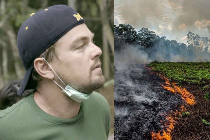 Amazônia:  Leonardo DiCaprio apela para que salvemos “o pulmão do mundo em chamas”