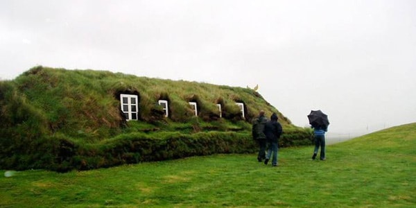 turf_house_7