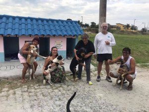 revistapazes.com - Vizinhos criam "cãodomínio": espaço para abrigar cães de rua no Rio de Janeiro