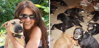 Ela resgatou 97 cachorros que, abandonados, seriam mortos pelo furacão Dorian