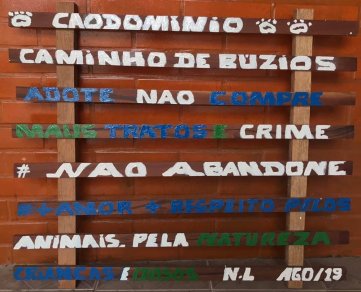 revistapazes.com - Vizinhos criam "cãodomínio": espaço para abrigar cães de rua no Rio de Janeiro