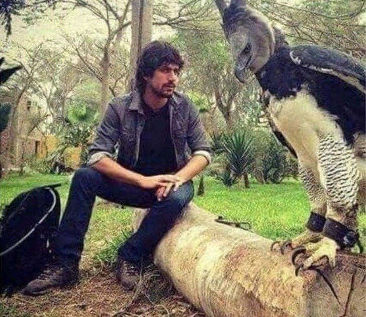 Captura-de-Pantalla-2019-10-01-a-las-15.59.30