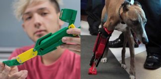 Este jovem cria próteses para cães e as distribui