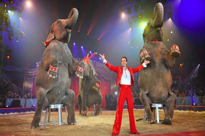 Na Campânia, região da Itália, circos com animais são agora proibidos!