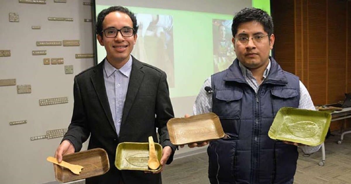 piatti-foglie-banana1