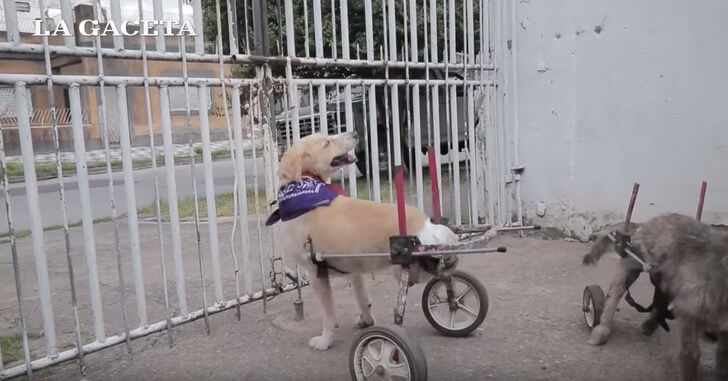 Captura-de-Pantalla-2019-10-21-a-las-16.30.15