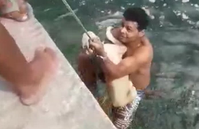 Vídeo mostra homem pulando em canal de Olinda para salvar cachorro de afogamento