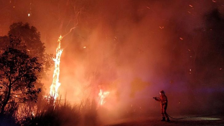 revistapazes.com - Chove na Austrália após semanas de incêndios violentos. Bombeiros comemoram e pulam de alegria