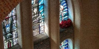 Pombo rouba flores de sepulturas e constrói ninho magnifico na Austrália